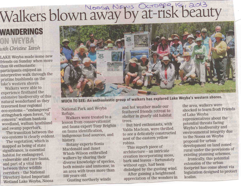 18-October-2013-Walkers-blown-away-by-at-risk-beauty-Noosa-News